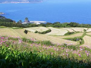 s-20111020 yamaguchi  (06).jpg